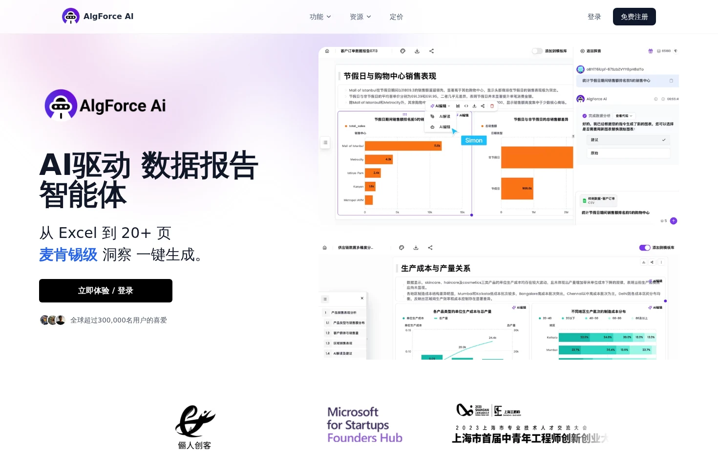 AlgForce AI 页面快照